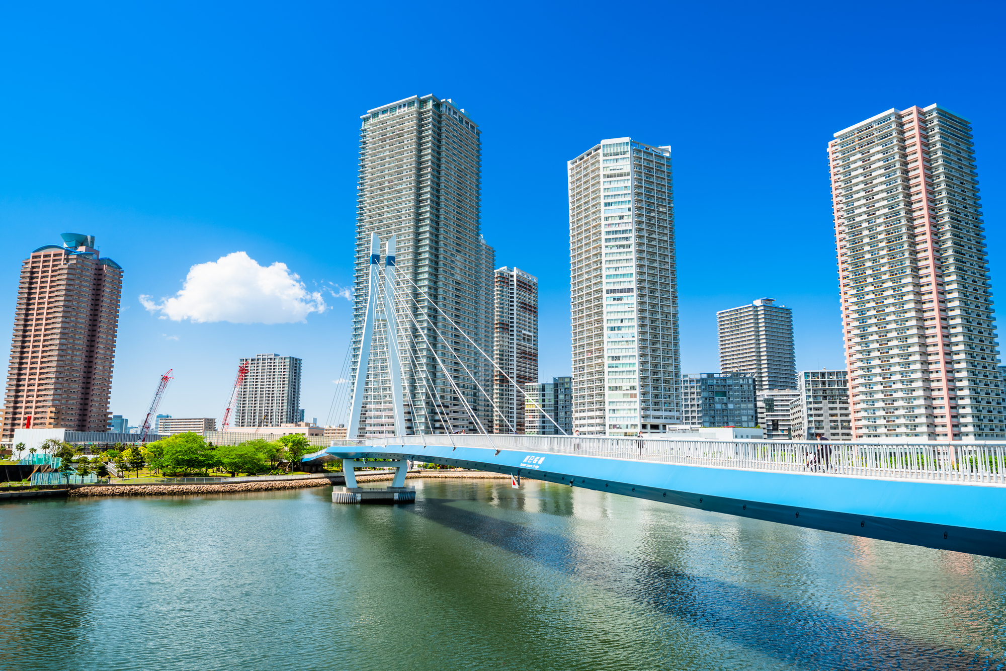 写真：橋のイメージ